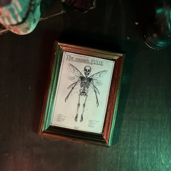 The Cornish Pixie - kerámia print